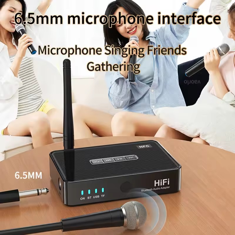 Penerima Bluetooth NFC 6.5mm B - Home Cinema Bluetooth 5.1 ulasan dan harga