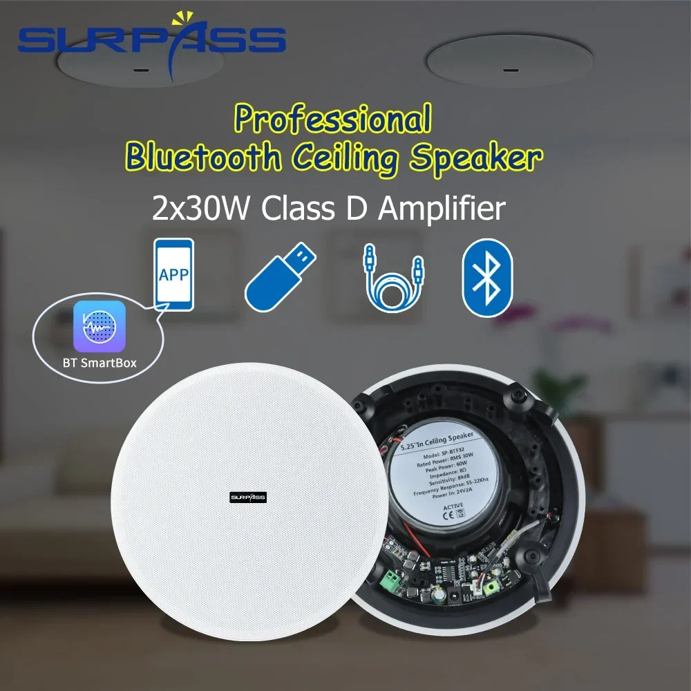 Speaker Bluetooth Plafon 5.25' - Home Cinema Bluetooth 5.1 ulasan dan harga