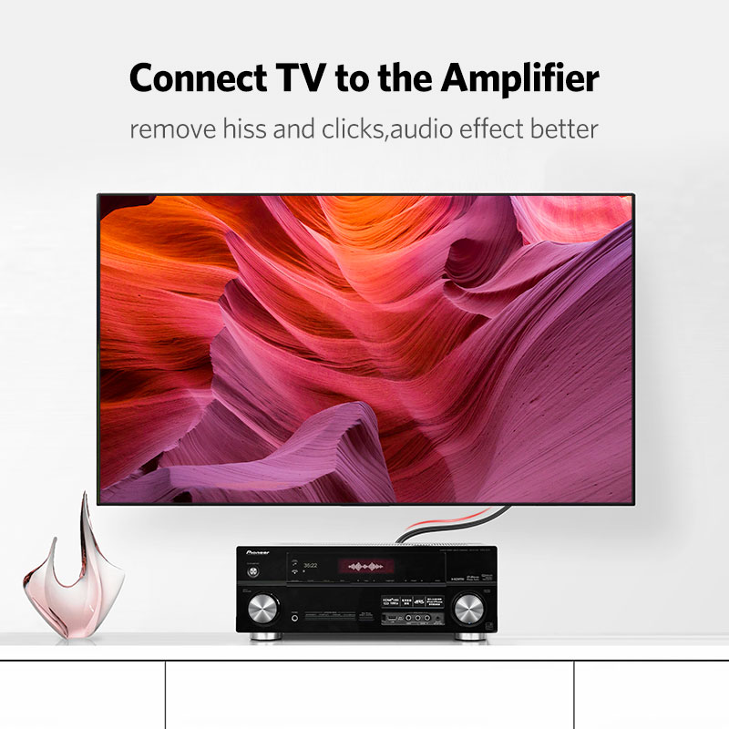 UGREEN 2RCA Ke 2 RCA Kabel Aud - Home Cinema Beamer ulasan dan harga