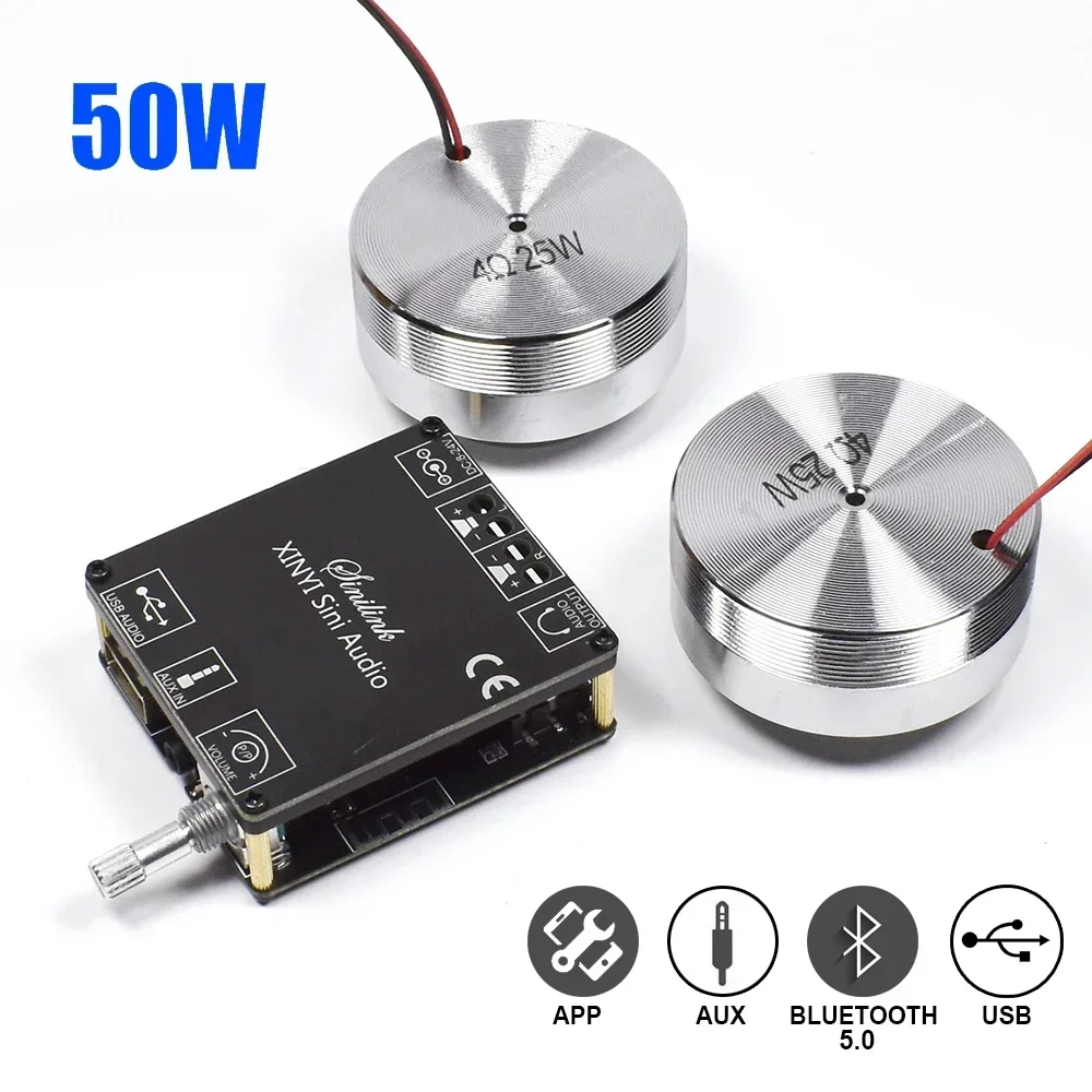 2*25W Speaker getar Stereo por - Home Cinema Beamer ulasan dan harga